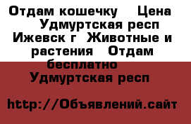 Отдам кошечку  › Цена ­ 5 - Удмуртская респ., Ижевск г. Животные и растения » Отдам бесплатно   . Удмуртская респ.